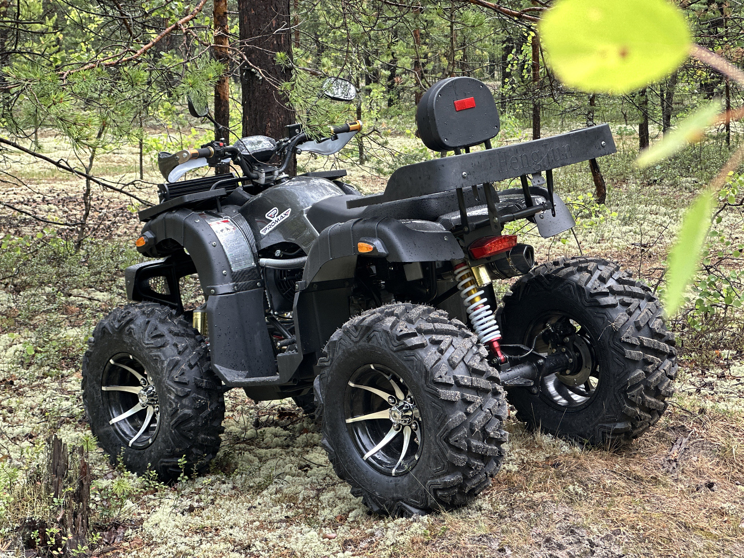 Квадроцикл PROMAX 320 DOMINATOR (2025) в Красноярске Квадроцикл PROMAX 320 DOMINATOR (2025) в Красноярске