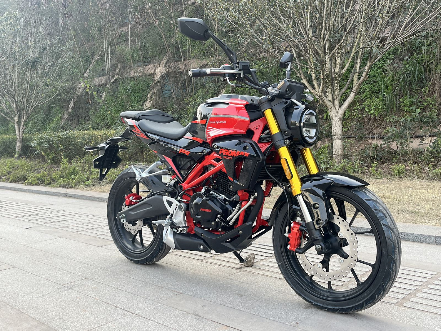 Мотоцикл PROMAX CB300 в Красноярске Мотоцикл PROMAX CB300 в Красноярске