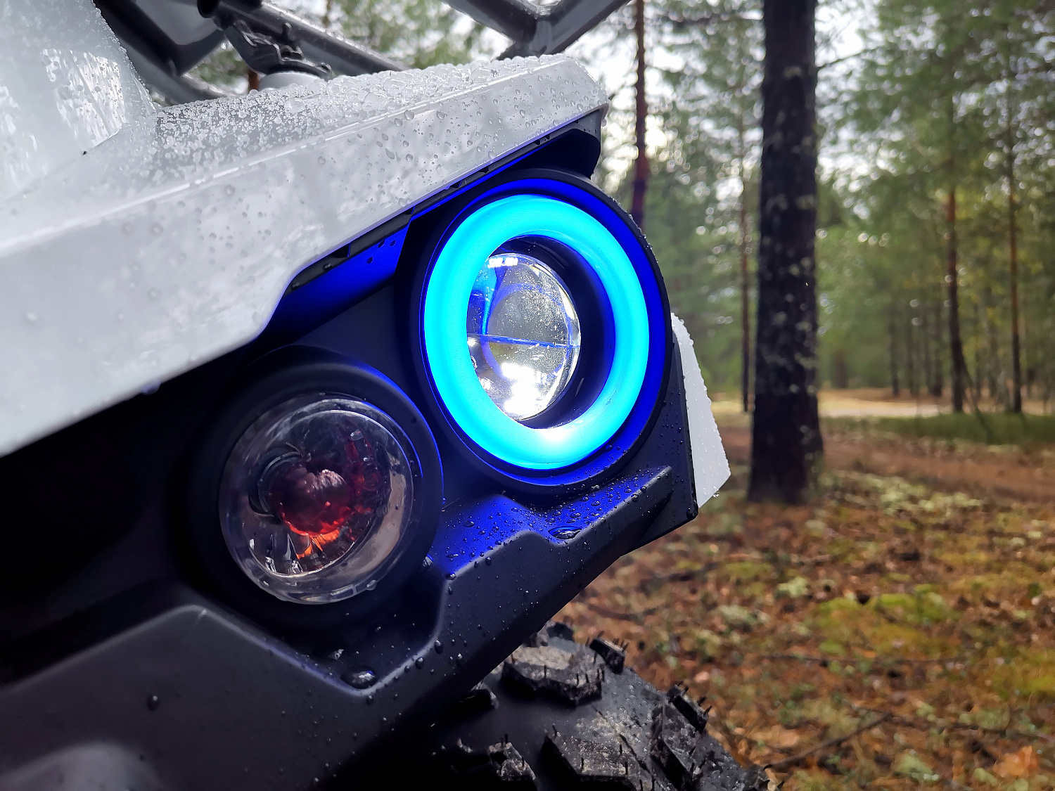 Квадроцикл PROMAX RENEGADE 280 (2025) в Красноярске