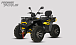 Квадроцикл PROMAX TAURUS 300 MAX-PRO LONG в Красноярске Квадроцикл PROMAX TAURUS 300 MAX-PRO LONG в Красноярске